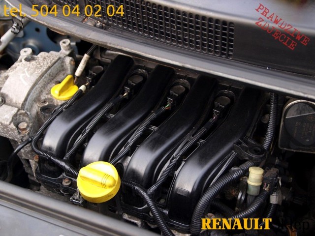 Renault Scenic Ii Jaki Silnik